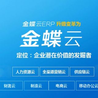 金蝶衣智軟件